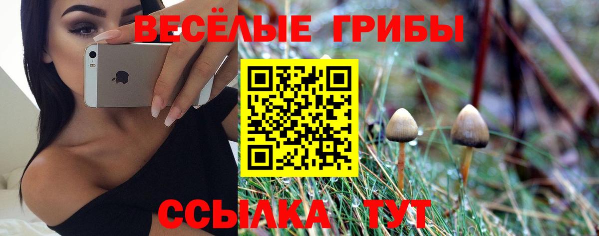 Галлюциногенные грибы MAGIC MUSHROOMS  Вход с VPN  Аксай 